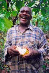 Producteur de cacao biologique à Saint-Domingue vendu sur ethicgourmand.fr